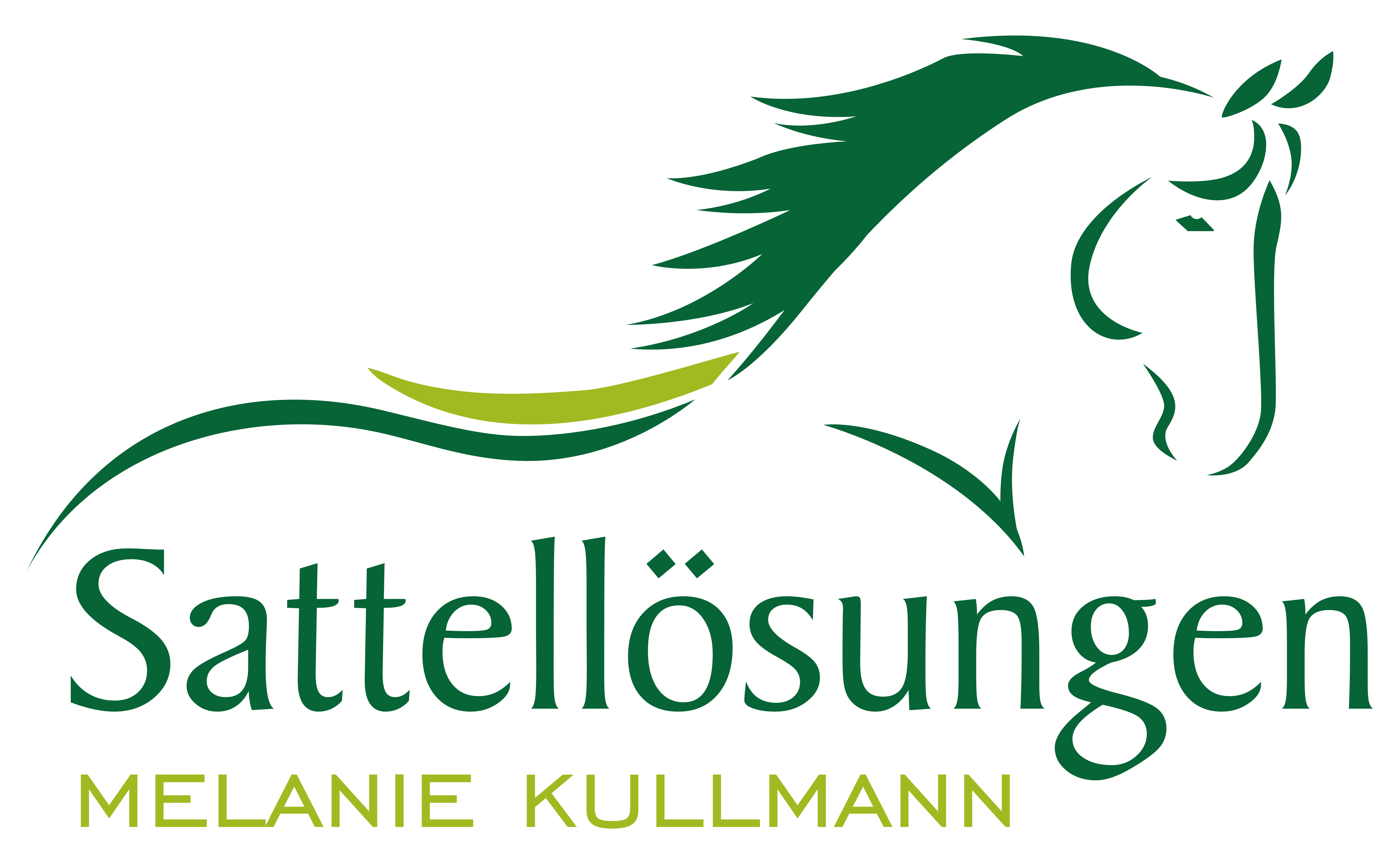 Sattellösungen